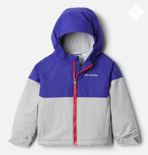 Kids' Columbia Alpine Action II Jackets Purple / Light Grey | CA-L68L4