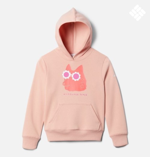 Kids' Columbia Basin Park Graphic Hoodie Pink | CA-Z5A13