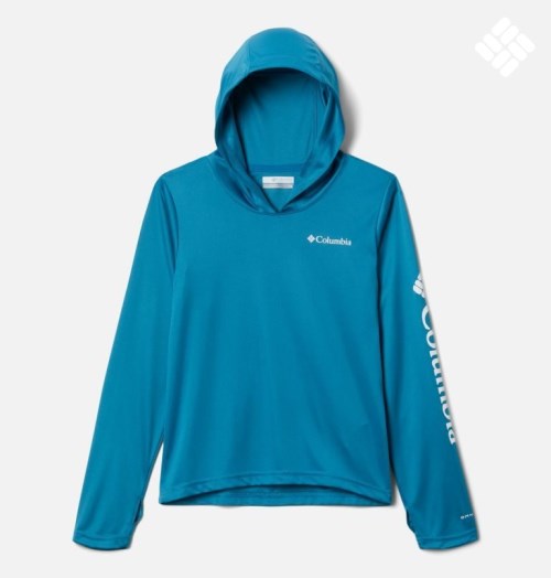 Kids' Columbia Fork Stream Hoodie Blue | CA-U6140