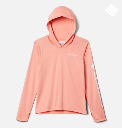 Kids' Columbia Fork Stream Hoodie Coral | CA-H1A53