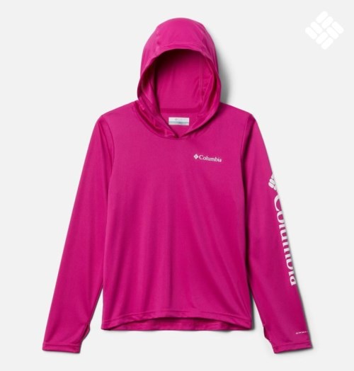 Kids' Columbia Fork Stream Hoodie Fuchsia | CA-WC03L