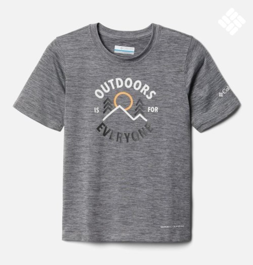 Kids' Columbia Mount Echo Short Sleeve Graphic T Shirts Grey | CA-H6038