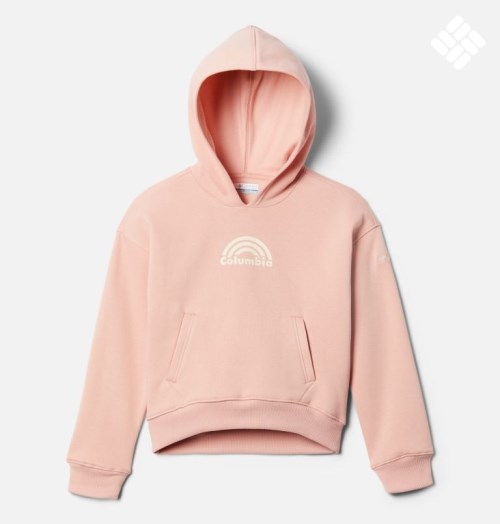 Kids' Columbia Trek Novelty Hoodie Pink | CA-MC51L