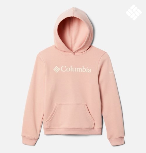 Kids' Columbia Trek Pullover Hoodie Pink | CA-T6183