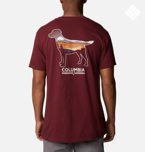 Men's Columbia Bound Graphic T Shirts Burgundy | CA-Z8503