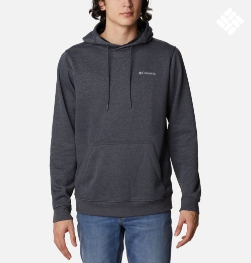 Men's Columbia CSC Basic Logo II Hoodie Dark Grey | CA-F863L