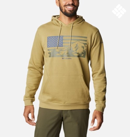 Men's Columbia CSC Country Logo Hoodie Olive | CA-F3156