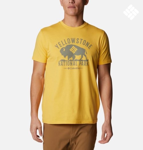 Men's Columbia Pack Yellowstone T Shirts Yellow | CA-P6345