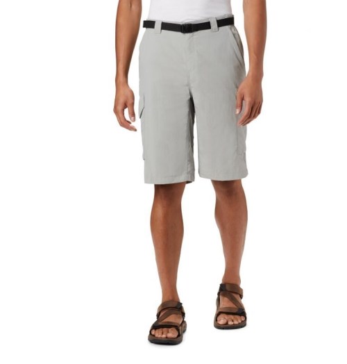 Men's Columbia Silver Ridge Cargo Shorts Light Grey | CA-A0L14