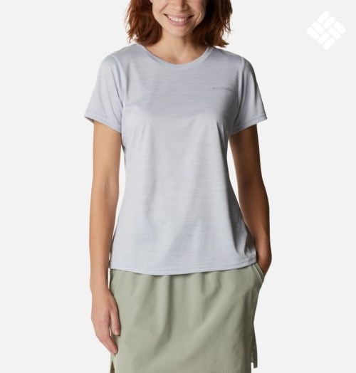 Women's Columbia Alpine Chill Zero Short Sleeve T Shirts Light Grey | CA-C3486