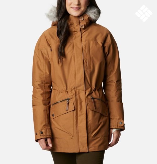 Women's Columbia Carson Pass Interchange Jackets Brown | CA-R1508