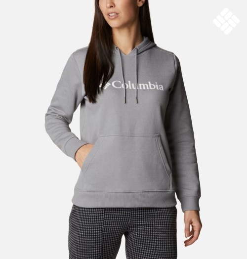 Women's Columbia Logo Hoodie Light Grey | CA-N1AL8