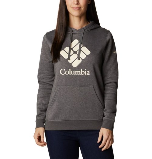 Women's Columbia Trek Graphic Hoodie Dark Grey | CA-G61C0