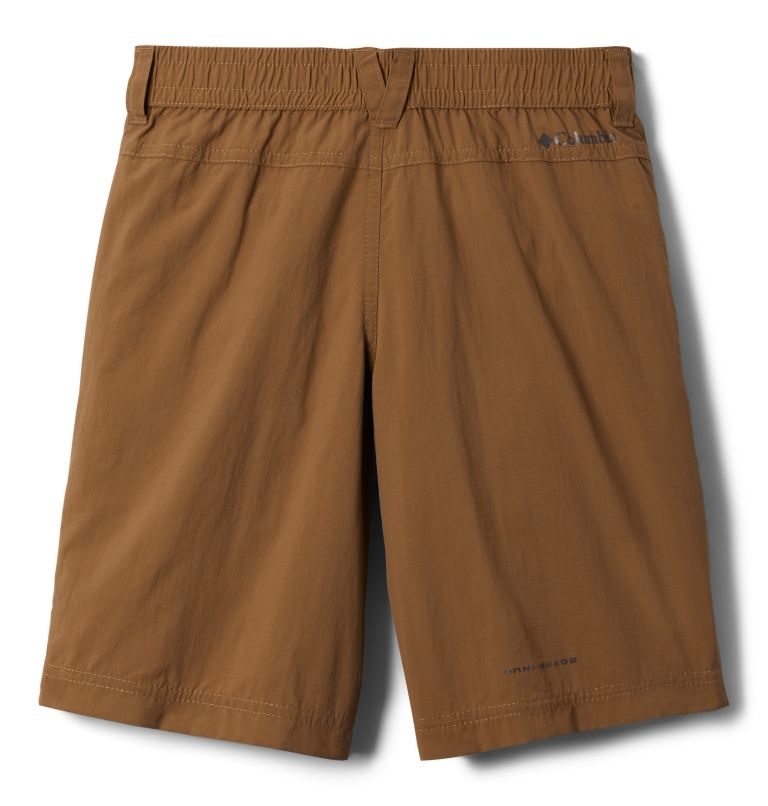 Kids' Columbia Silver Ridge IV Shorts Brown | CA-PLA08