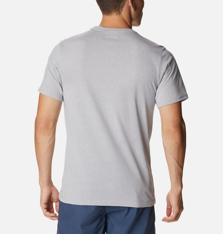 Men's Columbia Alpine Way Graphic T Shirts Light Grey | CA-N1483