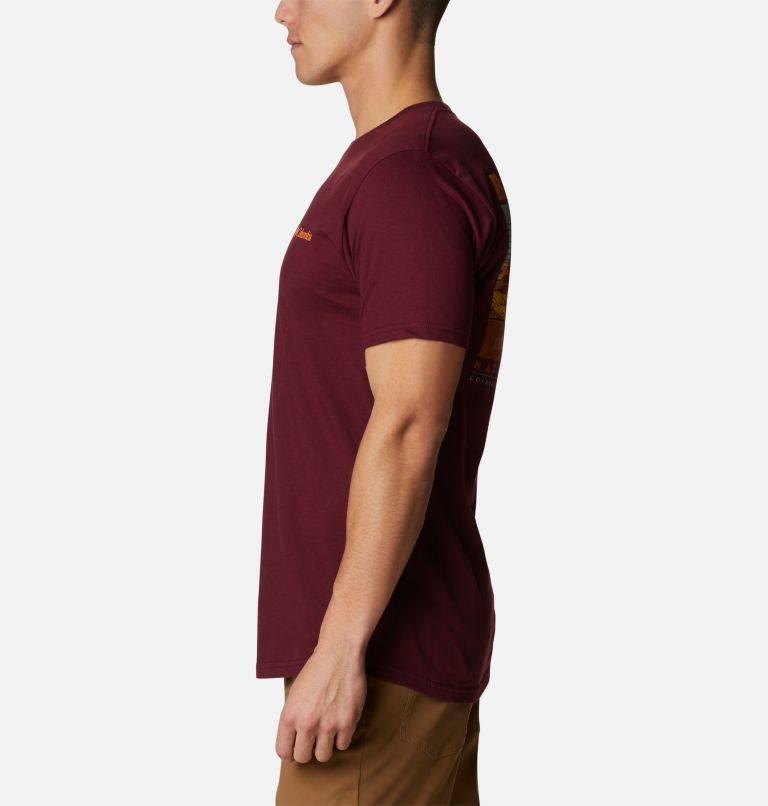 Men's Columbia Badlands Park T Shirts Burgundy | CA-S51C4