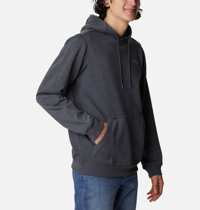 Men's Columbia CSC Basic Logo II Hoodie Dark Grey | CA-F863L