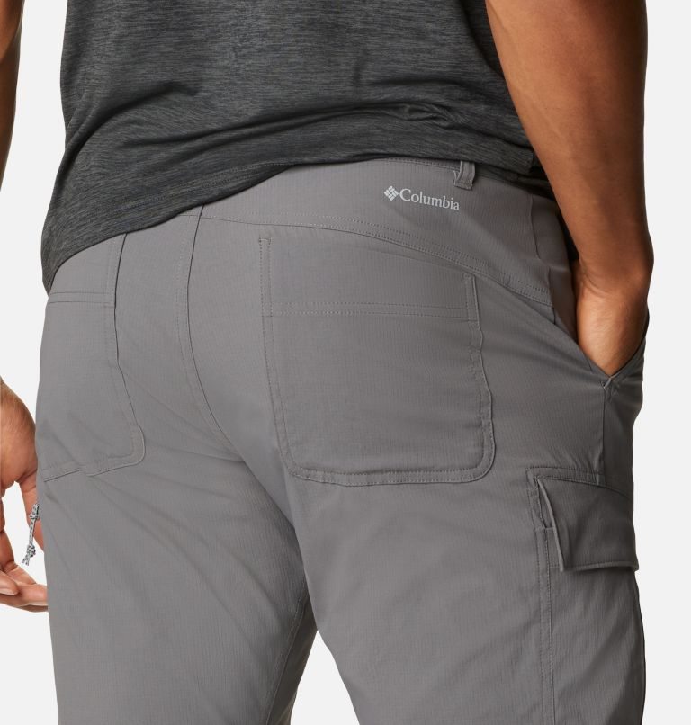 Men's Columbia Newton Ridge Convertible Pants Grey | CA-EA816