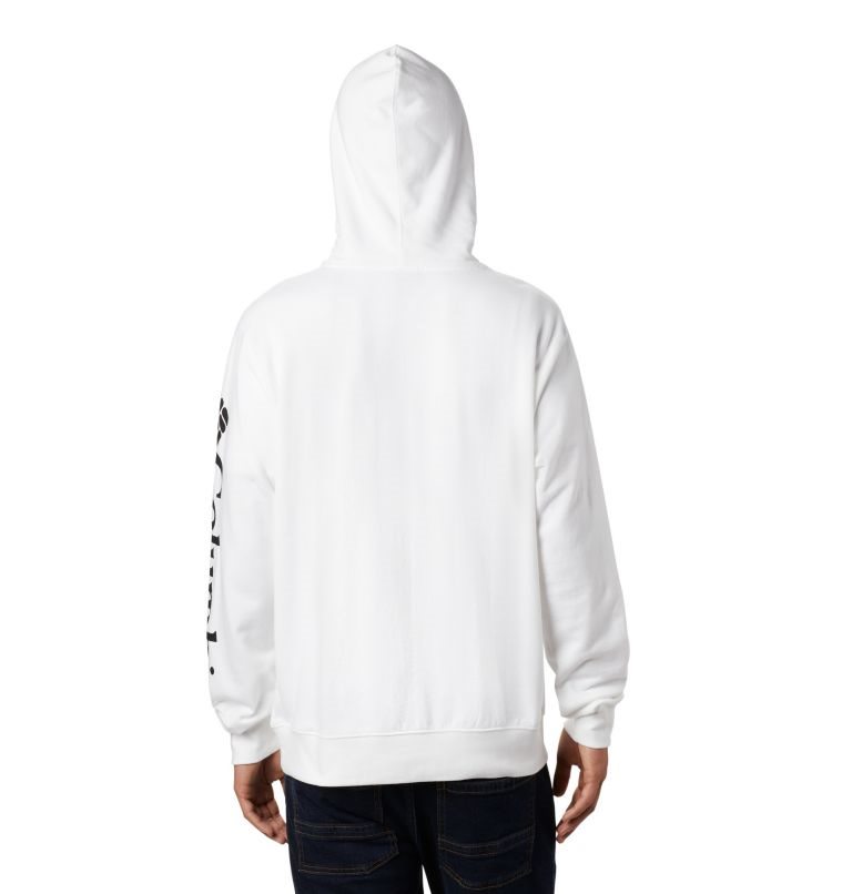 Men's Columbia Viewmont II Sleeve Graphic Hoodie White | CA-D651L