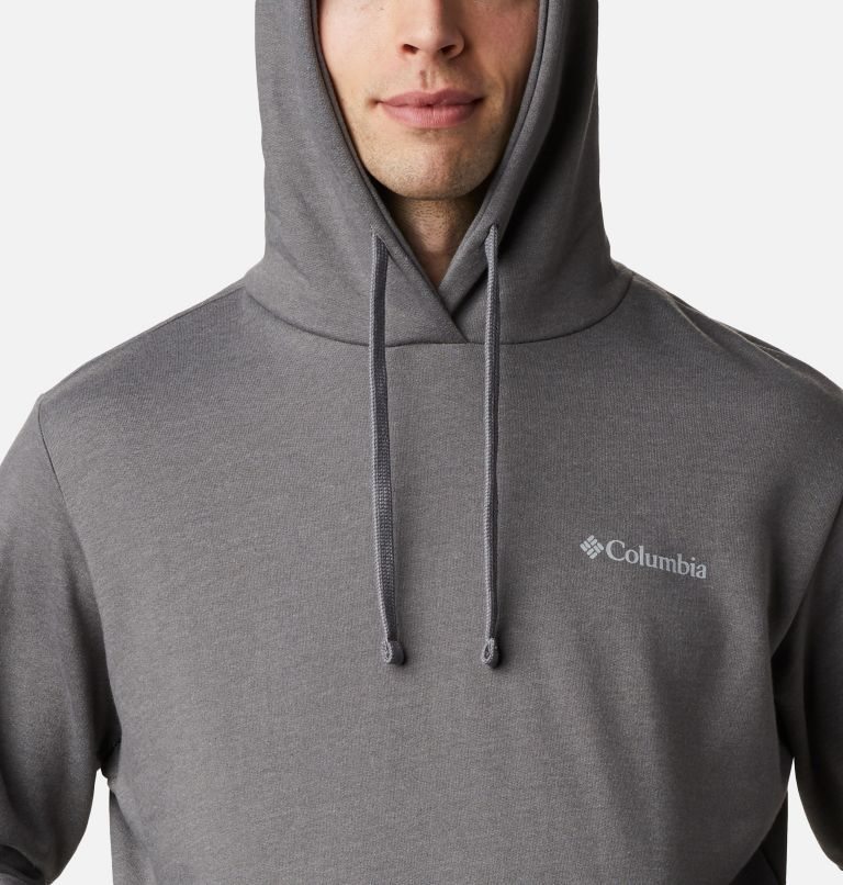 Men's Columbia Viewmont II Sleeve Graphic Hoodie Dark Grey | CA-X13A8