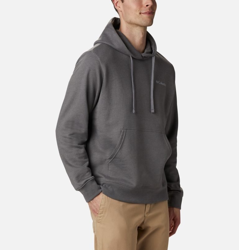 Men's Columbia Viewmont II Sleeve Graphic Hoodie Dark Grey | CA-X13A8