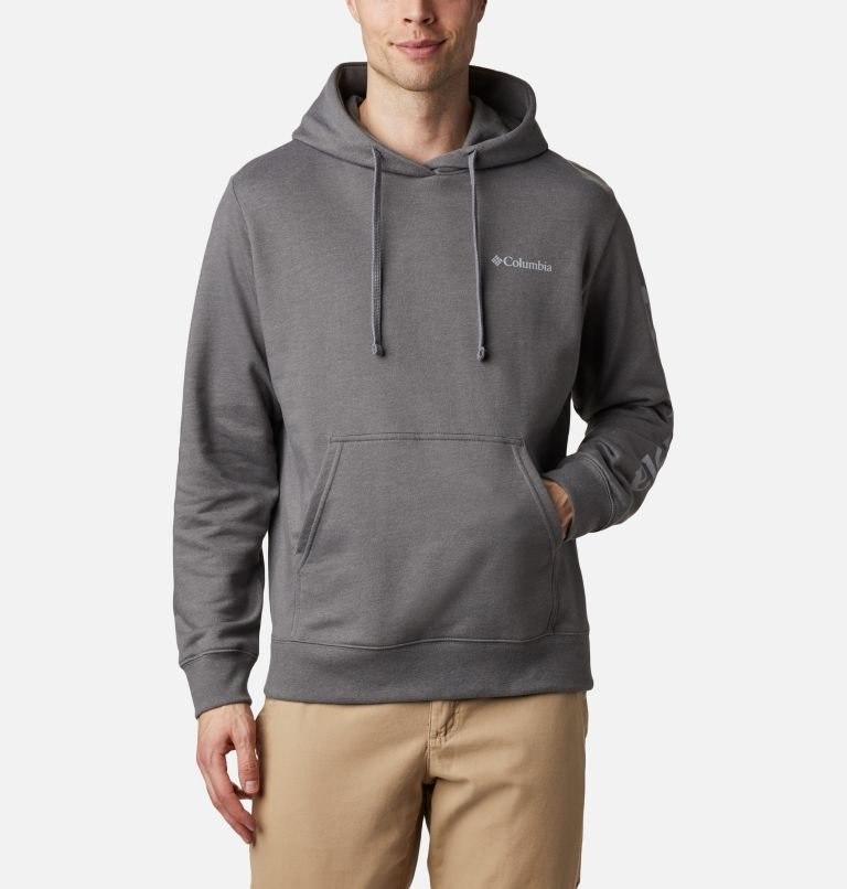 Men\'s Columbia Viewmont II Sleeve Graphic Hoodie Dark Grey | CA-X13A8