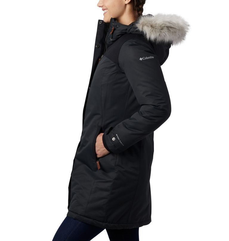 Women's Columbia Lindores Jackets Black | CA-IA54L