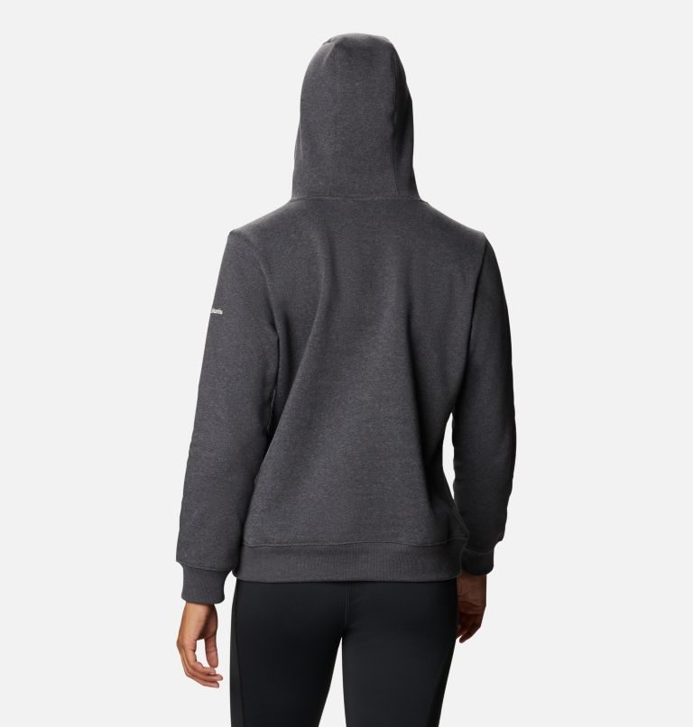 Women's Columbia Logo Hoodie Dark Grey | CA-IL163