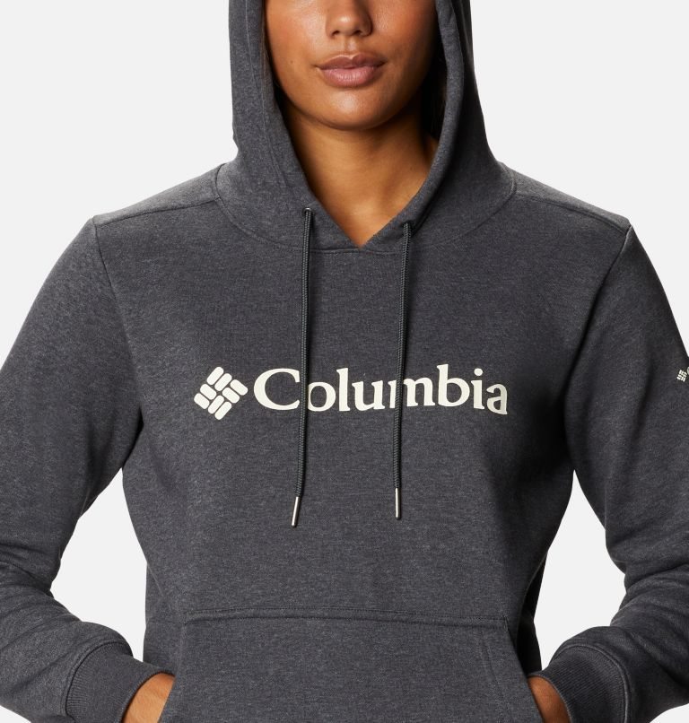 Women's Columbia Logo Hoodie Dark Grey | CA-IL163