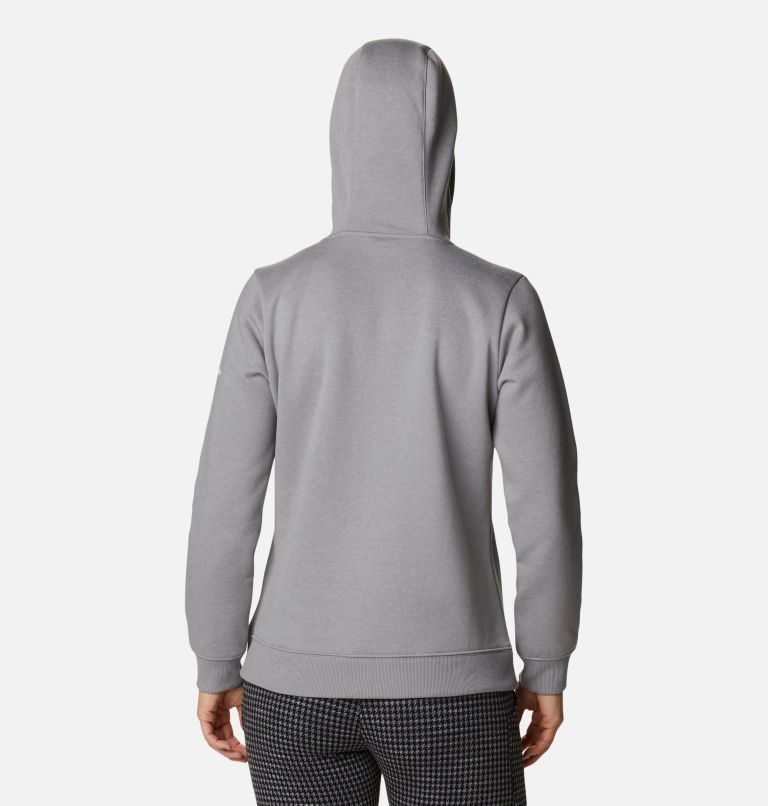 Women's Columbia Logo Hoodie Light Grey | CA-N1AL8