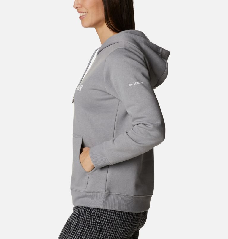 Women's Columbia Logo Hoodie Light Grey | CA-N1AL8