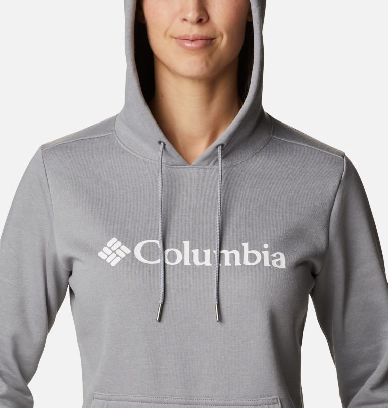 Women's Columbia Logo Hoodie Light Grey | CA-N1AL8