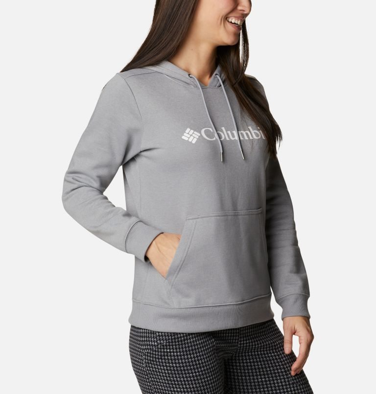 Women's Columbia Logo Hoodie Light Grey | CA-N1AL8