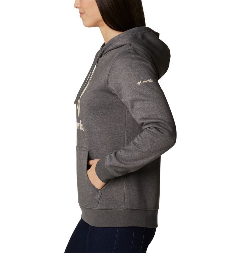 Women's Columbia Trek Graphic Hoodie Dark Grey | CA-G61C0