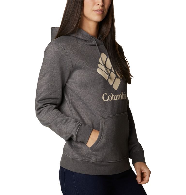 Women's Columbia Trek Graphic Hoodie Dark Grey | CA-G61C0